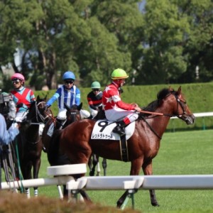 メイクデビュー6