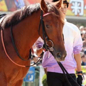 メイクデビュー5