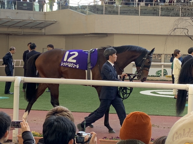 頑張ってほしいけど喉が心配 レッドベルジュール