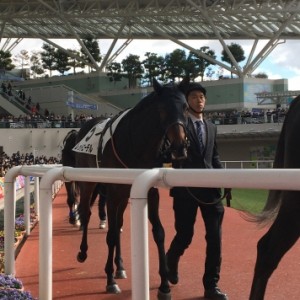 20191228 2歳新馬芝2000M パドック