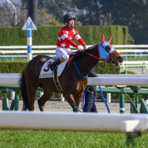 3歳未勝利