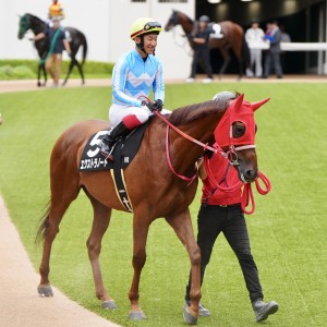 2025/9/15 鋸山特別(2勝クラス)