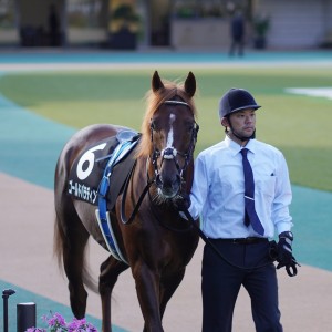 2021/11/7 錦秋S(3勝クラス)