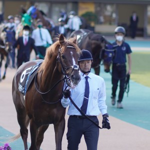 2021/11/7 錦秋S(3勝クラス)