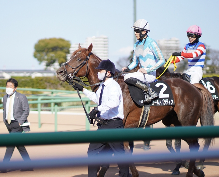 2022/3/21 韓国馬事会杯(3勝クラス) ゴールドパラディン