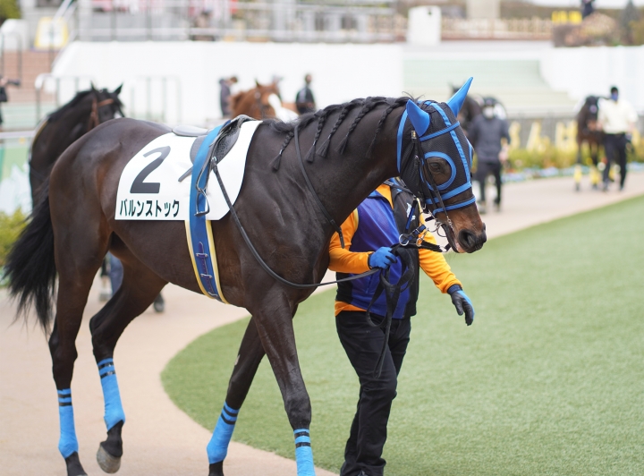 2022/3/13 障害未勝利 バルンストック