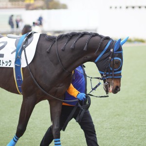 2022/3/13 障害未勝利