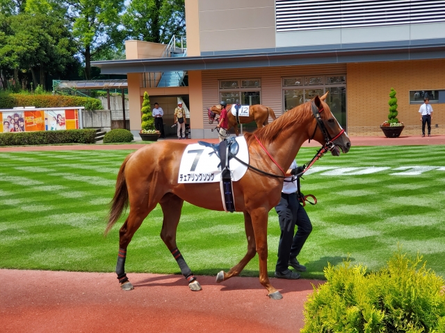初お披露目 チェアリングソング