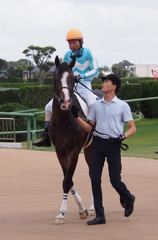 20190908 中山5R ウィルビーハッピー レース後 ウィルビーハッピー