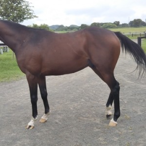 移動直前（オカダスタッド）