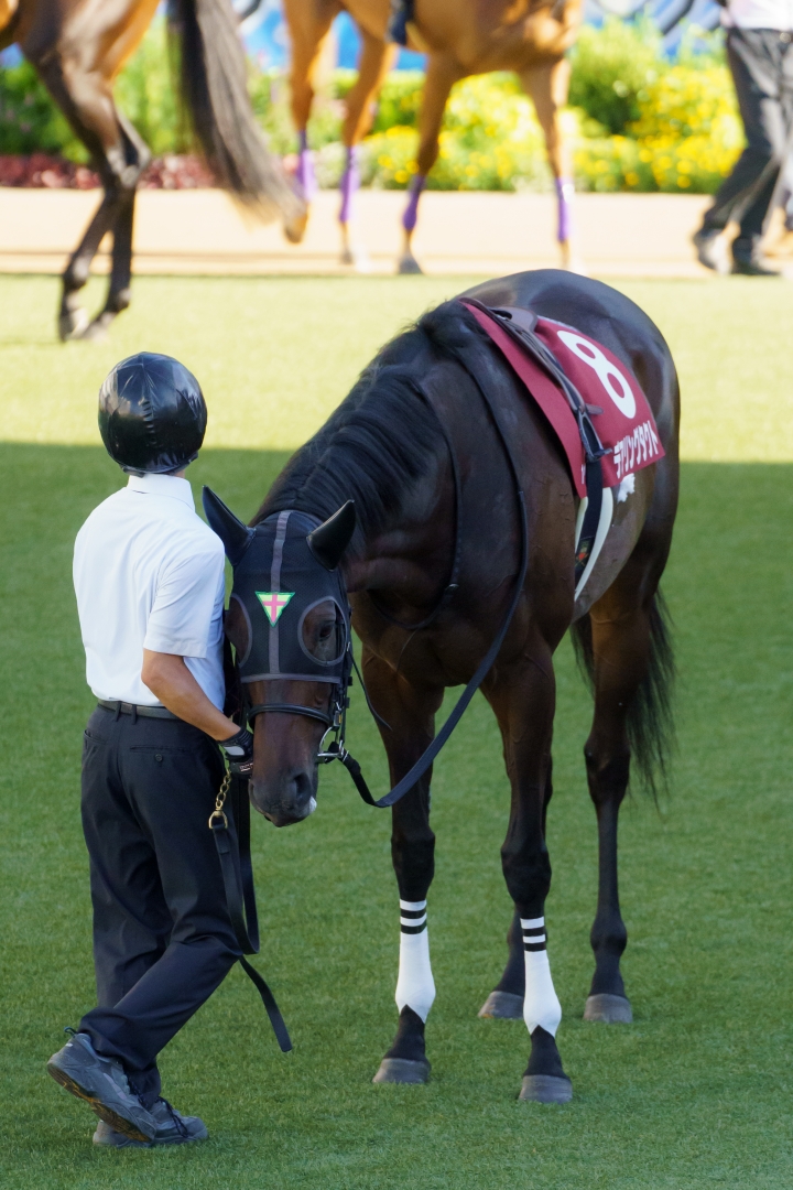 2022/9/25 オールカマー(G2) デアリングタクト