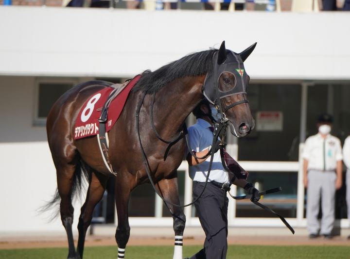 2022/9/25 オールカマー(G2) デアリングタクト