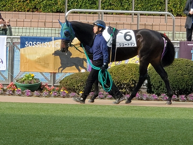 中山未勝利 リュードマン