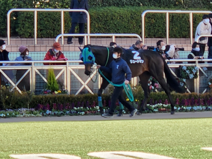 2023/1/9 成田特別(2勝クラス) リュードマン