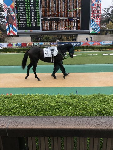 雨が強い日 リュードマン
