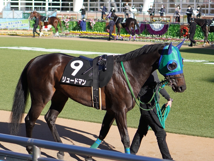 2020/12/20 香取特別(2勝クラス) リュードマン