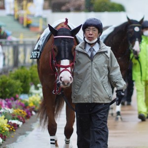 2023/3/18 韓国馬事会杯(3勝クラス)