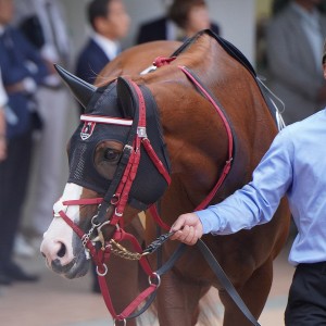 2023/10/1 外房S(3勝クラス)