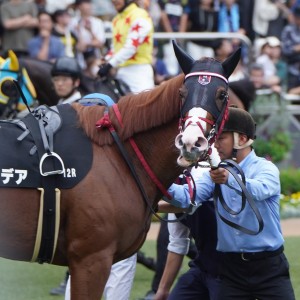 2023/10/1 外房S(3勝クラス)