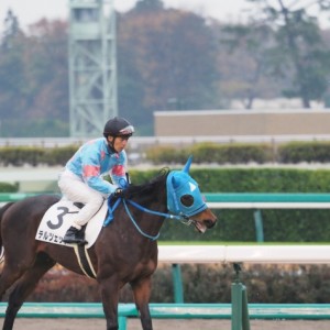 新馬戦＿馬場入場