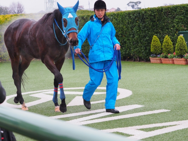 新馬戦＿終了後 テルツェット