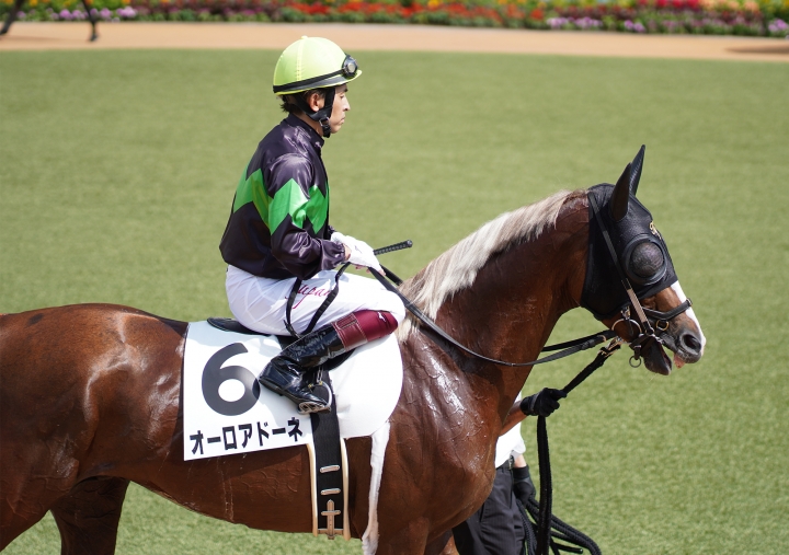 2021/9/11 3歳以上1勝クラス オーロアドーネ