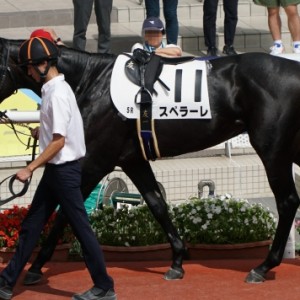 いよいよデビュー戦！