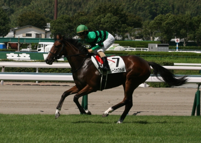 未勝利戦返し馬 グレースオブナイル