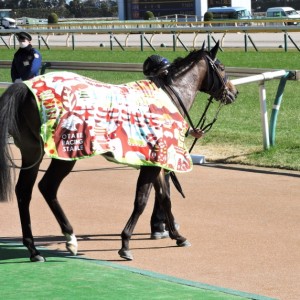 ﾒｲｸﾃﾞﾋﾞｭｰ🏇ｳｲﾅｰｽﾞｻｰｸﾙ