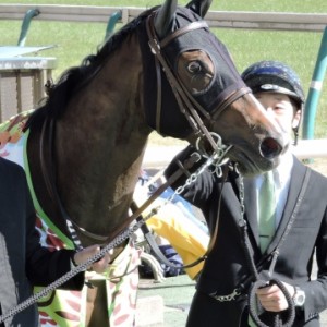 ﾒｲｸﾃﾞﾋﾞｭｰ🏇おめでとう！