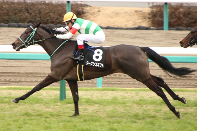 ゴール前 シーズンズギフト