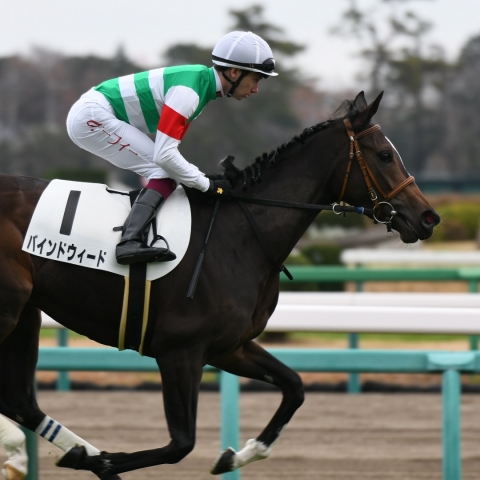 返し馬 バインドウィード