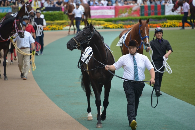 ２歳新馬パドック アブソルティスモ