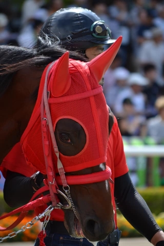 パドックにて3 ヴェスターヴァルト