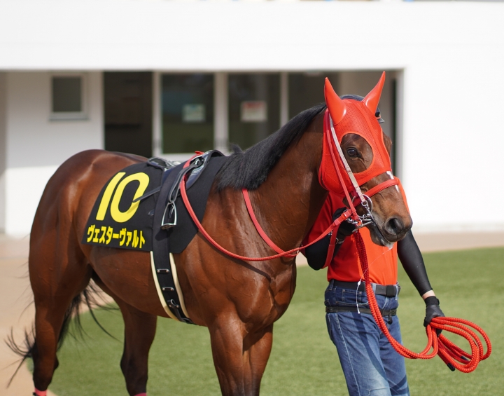 2022/3/13 東風S(OP) ヴェスターヴァルト