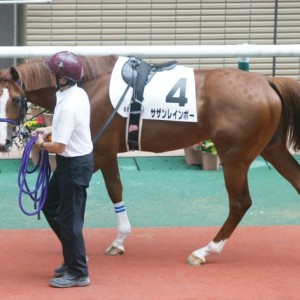 新馬戦パドック