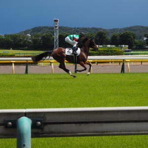 2022年6月