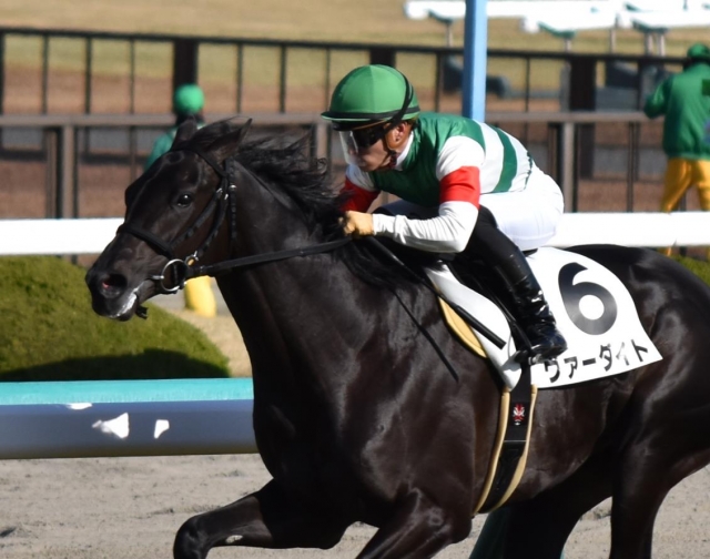 阪神　新馬戦　優勝！ ヴァーダイト