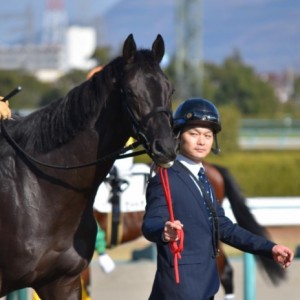 阪神　新馬戦　優勝！