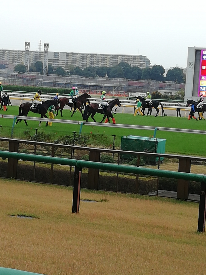 2021/11/21 南武特別(2勝クラス) トゥルーヴィル