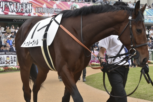 新馬戦 トゥルーヴィル