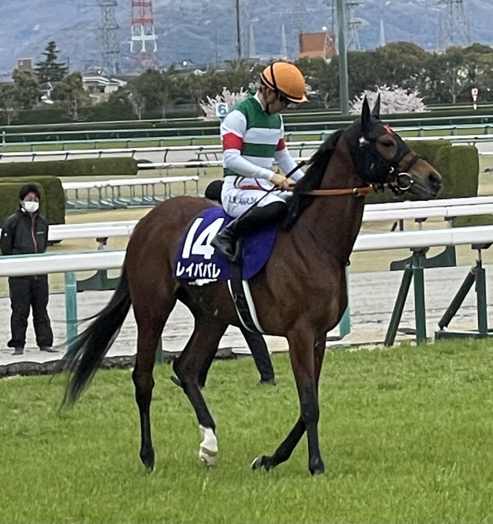 2022/4/3 大阪杯(G1) レイパパレ