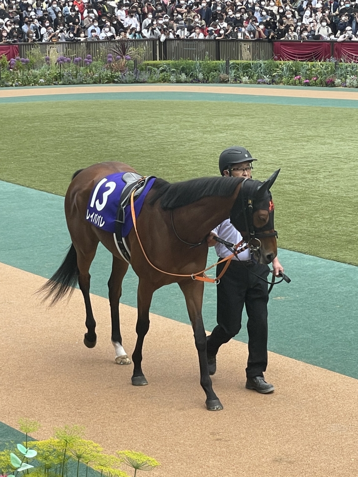 2022/5/15 ヴィクトリアマイル(G1) レイパパレ