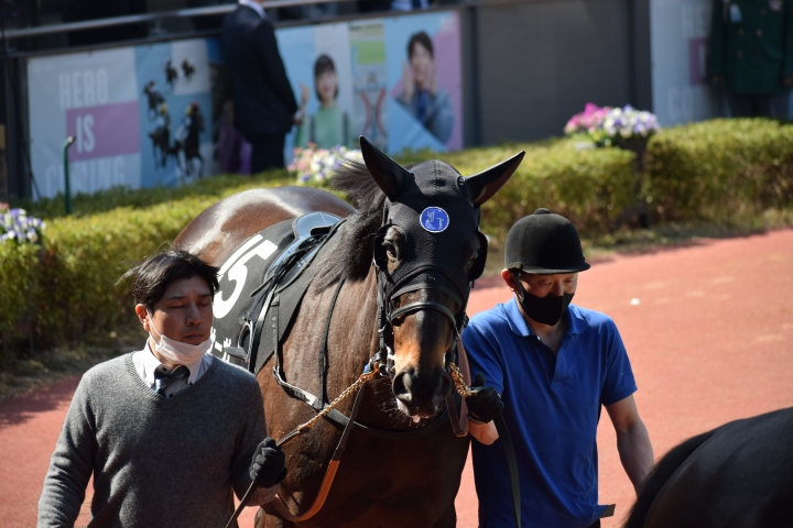 2024年3月 キングサーガ