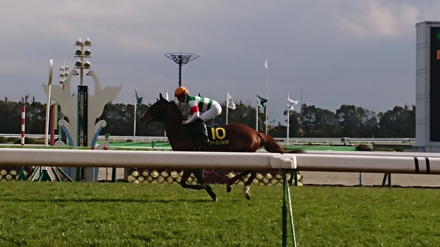 返し馬 ファーストフォリオ