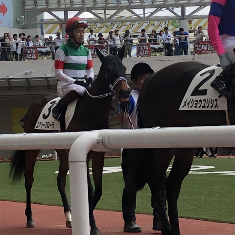 パドック エアリーフローラ