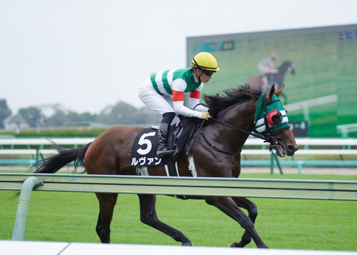2021/9/12 白井特別(2勝クラス) ルヴァン