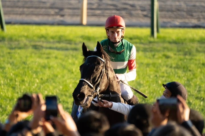 2022/11/27 ジャパンカップ(G1) ヴェラアズール