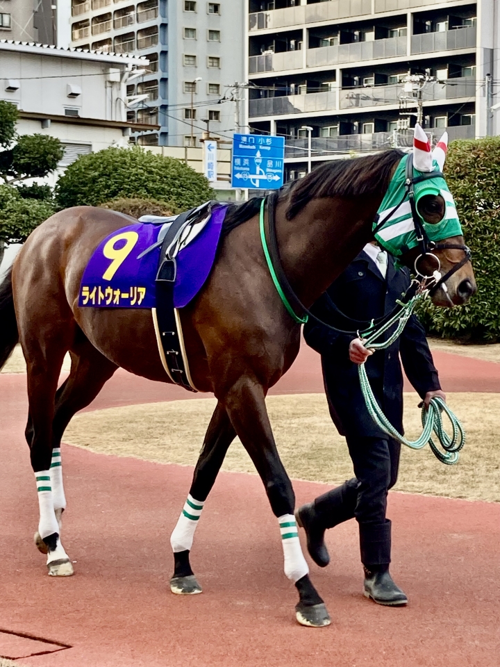 川崎11R 報知オールスターカップ ライトウォーリア