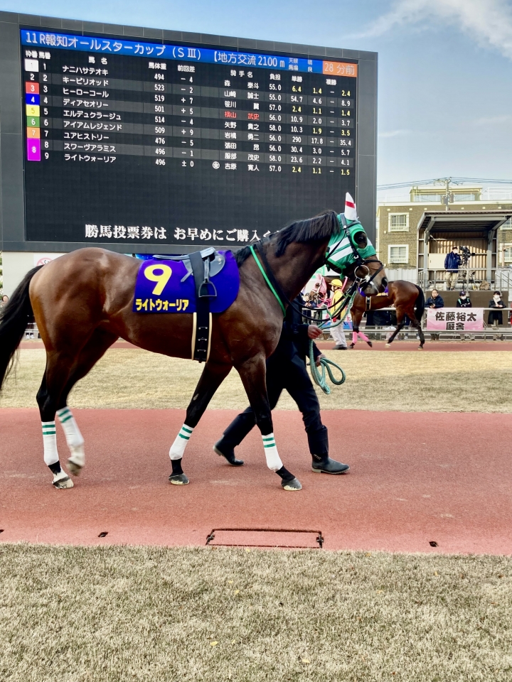 川崎11R 報知オールスターカップ　 ライトウォーリア